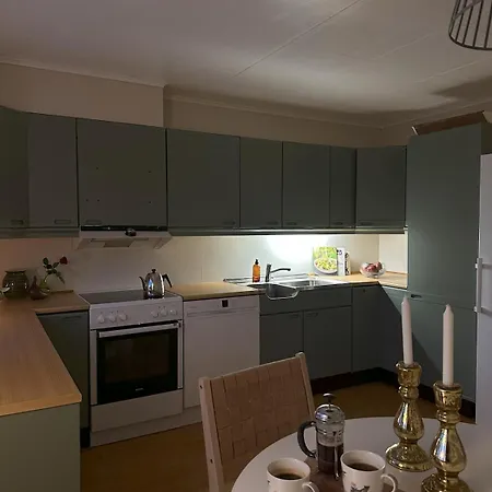Great House Hamar, Close To Mjosa At Domkirkeodden * Hamar (Hedmark)