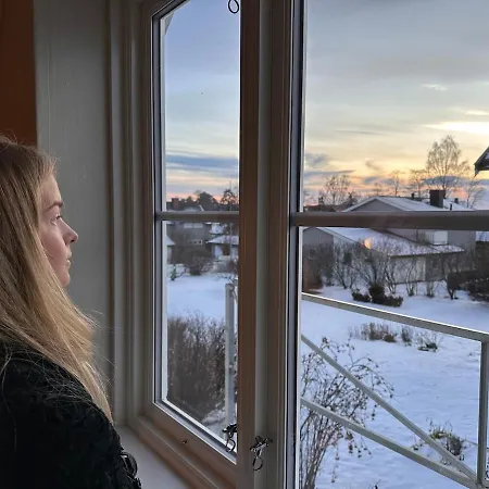 Villa Great House Hamar, Close To Mjosa At Domkirkeodden *