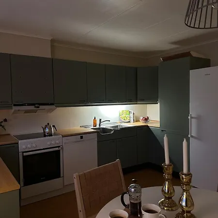 Great House Hamar, Close To Mjosa At Domkirkeodden * Hamar (Hedmark)