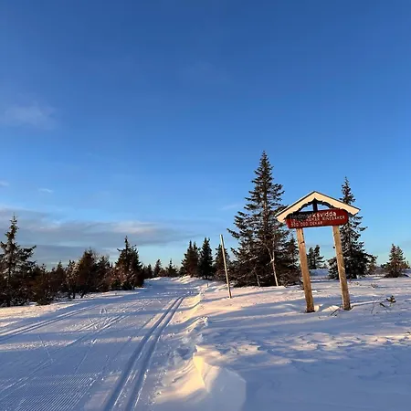 Great House Hamar, Close To Mjosa At Domkirkeodden Hamar (Hedmark)
