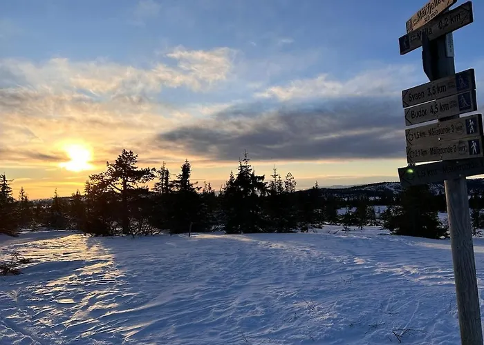 Villa Great House Hamar, Close To Mjosa At Domkirkeodden *