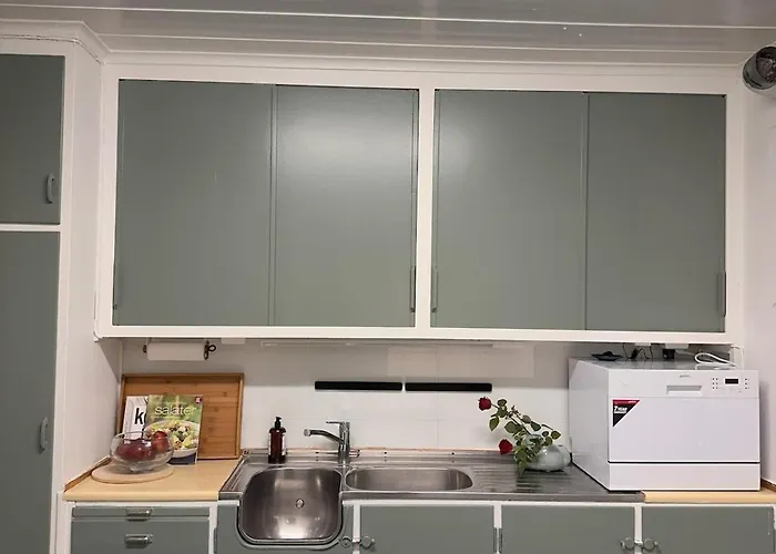 Villa Great House Hamar, Close To Mjosa At Domkirkeodden