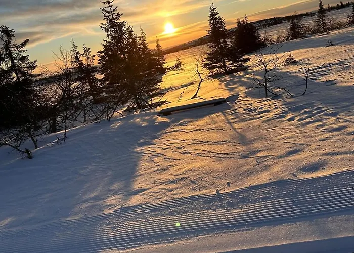 Great House Hamar, Close To Mjosa At Domkirkeodden Hamar (Hedmark)