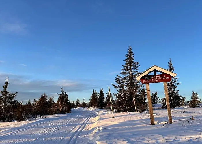 Great House Hamar, Close To Mjosa At Domkirkeodden Hamar (Hedmark)